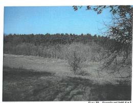Photo 35
